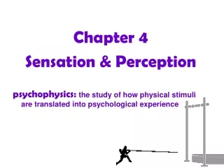 Chapter 4 Sensation &amp; Perception