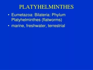 PLATYHELMINTHES