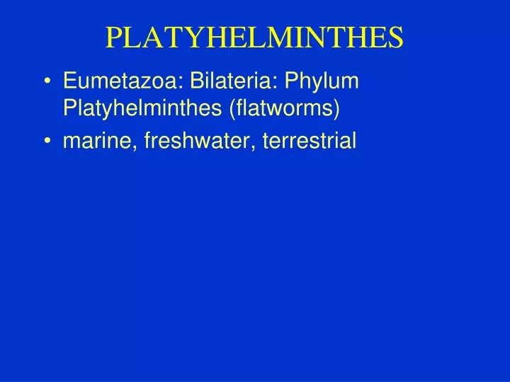 platyhelminthes