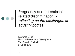 Laurence Bond Head of Research &amp; Development The Equality Authority  27 June 2013