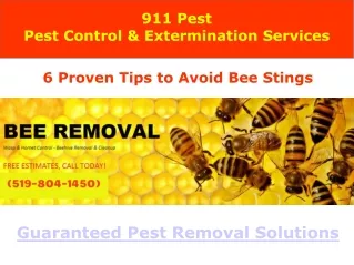 911 Pest Pest Control &amp; Extermination Services