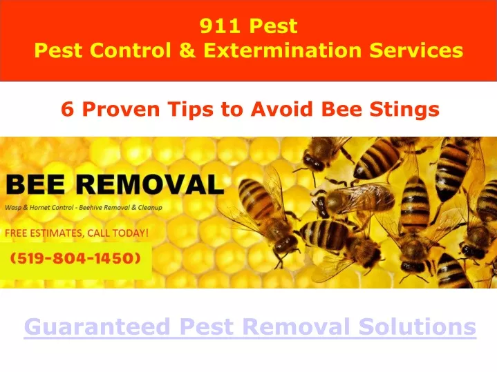 911 pest pest control extermination services