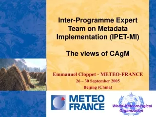 Inter-Programme Expert Team on Metadata Implementation (IPET-MI) The views of CAgM