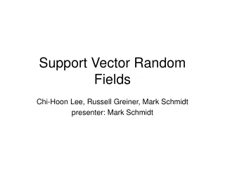 Support Vector Random Fields