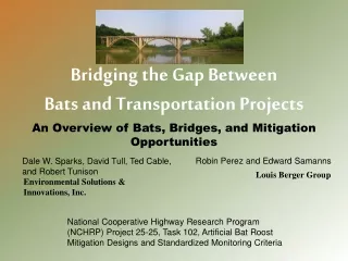 Bridging the Gap Between Bats and Transportation Projects