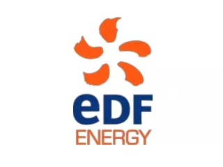EDF ENERGY - EDRP  Lessons learned summary overview 04 th  February 2010. Martin Bell