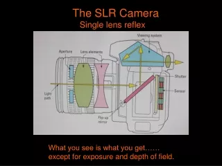 The SLR Camera    Single lens reflex