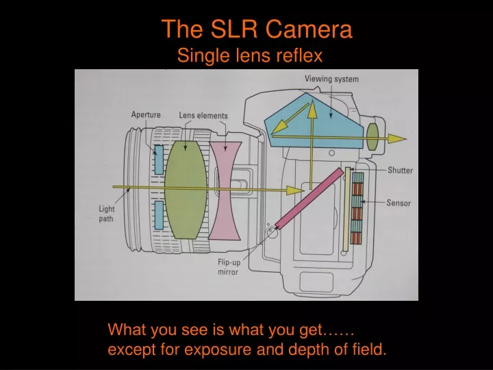 the slr camera single lens reflex