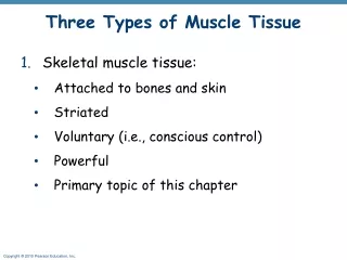 Three Types of Muscle Tissue