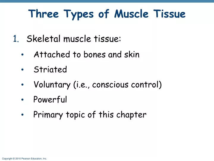 three types of muscle tissue