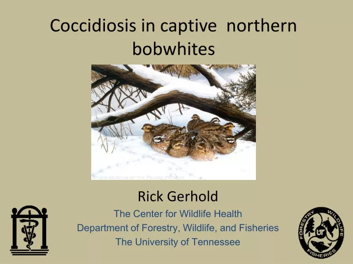 coccidiosis in captive northern bobwhites