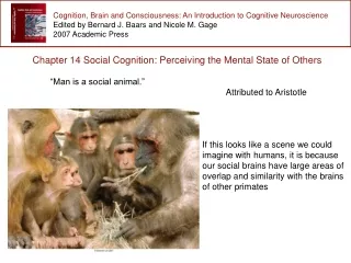 Cognition, Brain and Consciousness: An Introduction to Cognitive Neuroscience