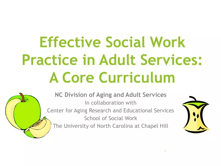 effective social work practice in adult services a core curriculum