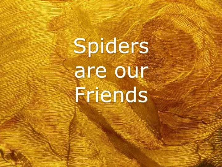 spiders are our friends