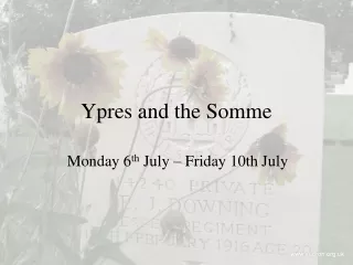 Ypres and the Somme
