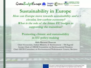 Aldo Ravazzi Douvan  Chief Economist, Italian Ministry of Environment  - TA Sogesid