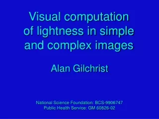 Visual computation of lightness in simple  and complex images