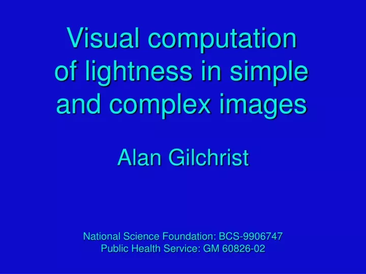 visual computation of lightness in simple and complex images