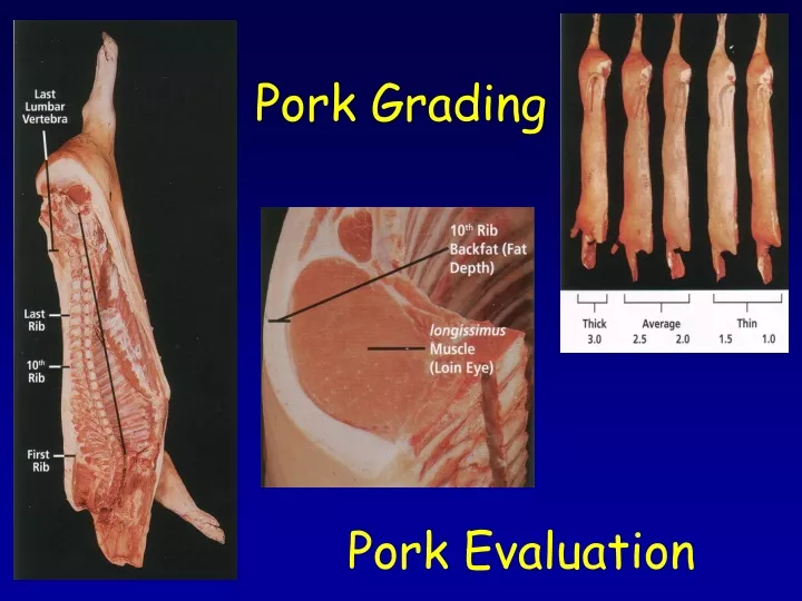 pork grading