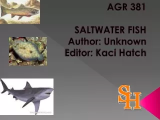 AGR 381 SALTWATER FISH Author: Unknown  Editor:  Kaci  Hatch