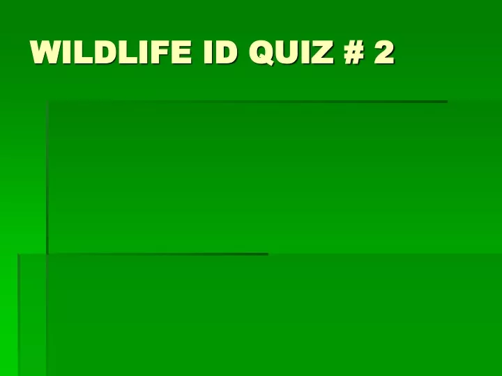 wildlife id quiz 2