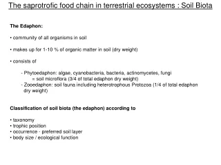 The saprotrofic food chain in terrestrial ecosystems : Soil Biota
