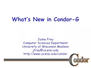 What’s New in Condor-G