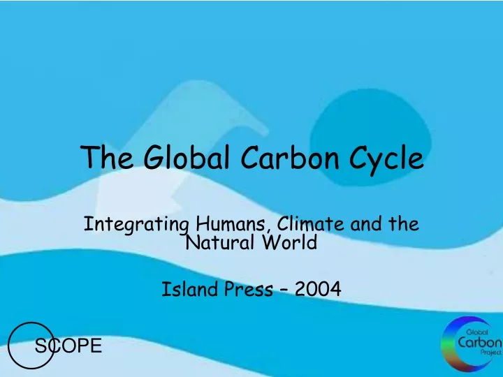 the global carbon cycle
