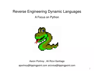 Reverse Engineering Dynamic Languages A Focus on Python