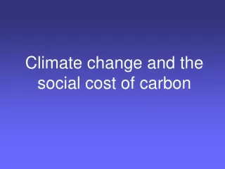 Climate change and the social cost of carbon