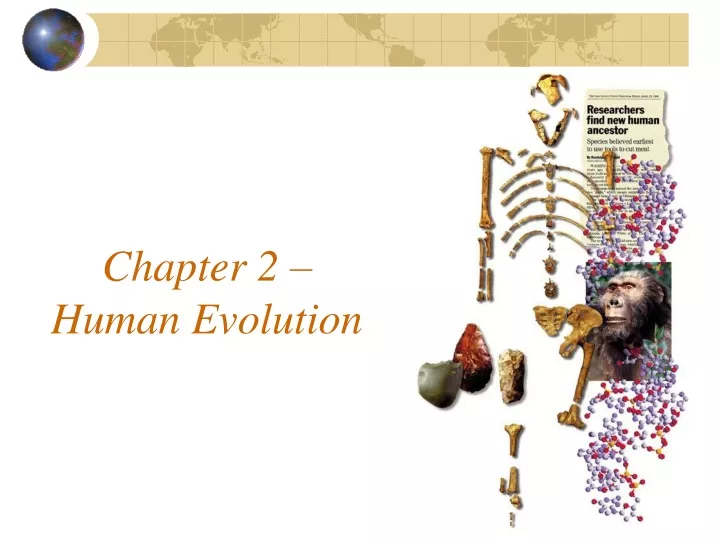 chapter 2 human evolution