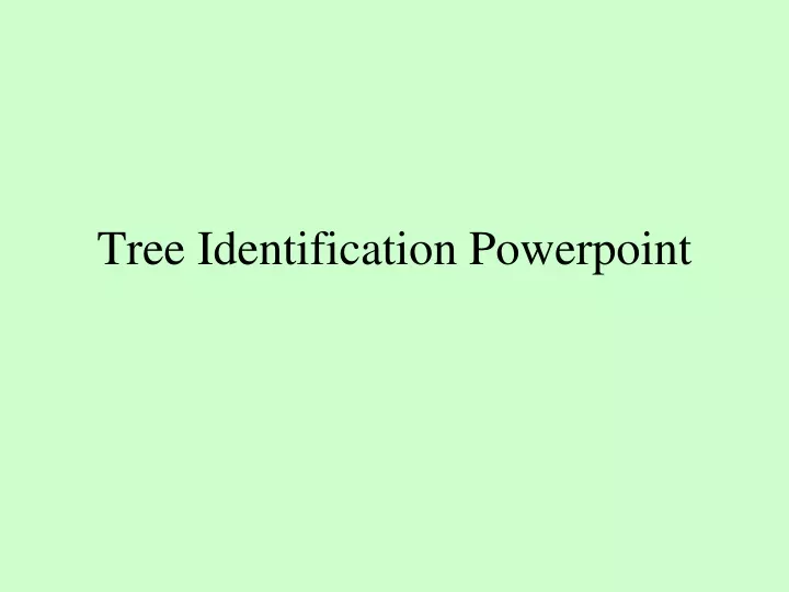 tree identification powerpoint