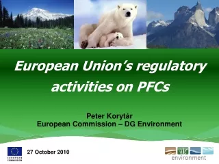 European Union’s regulatory activities on PFCs