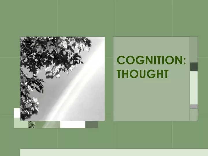 cognition thought