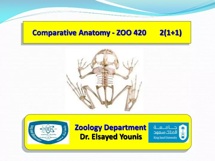 comparative anatomy zoo 420 2 1 1