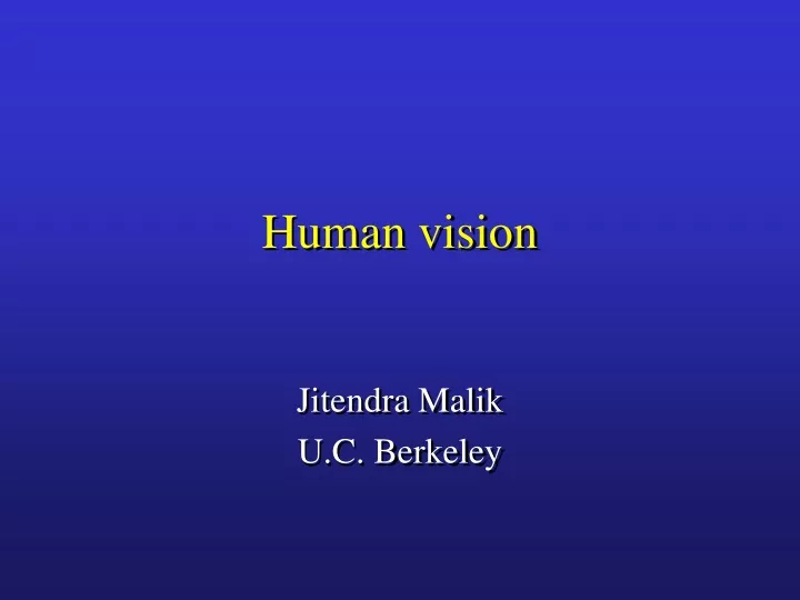 human vision