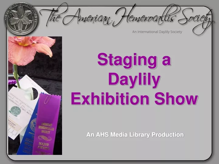 staging a daylily exhibition show