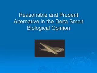Reasonable and Prudent Alternative in the Delta Smelt Biological Opinion