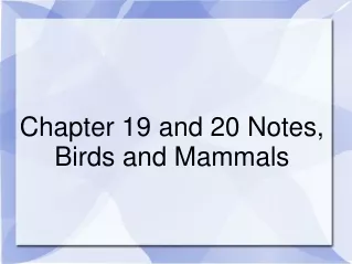 Chapter 19 and 20 Notes, Birds and Mammals