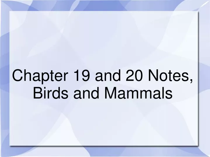 chapter 19 and 20 notes birds and mammals