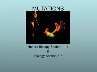 MUTATIONS Honors Biology Section 11.6 &amp; Biology Section 8.7  Revised 2011