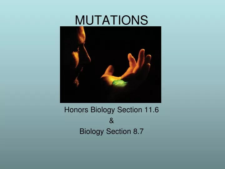 mutations honors biology section 11 6 biology