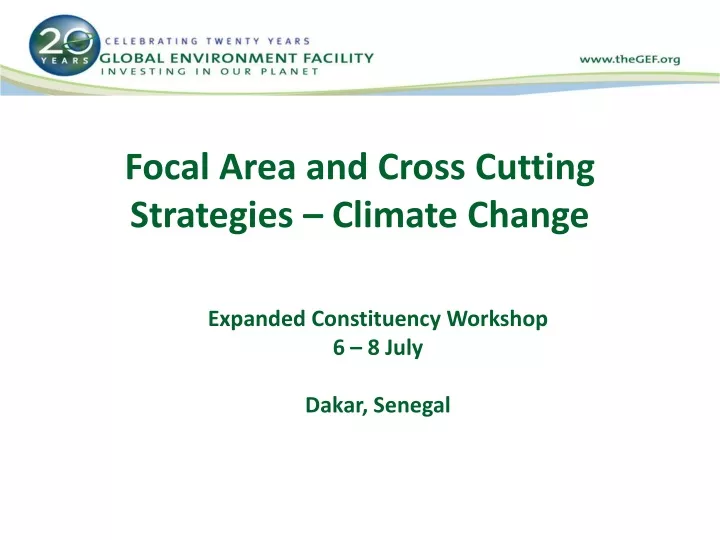 focal area and cross cutting strategies climate change