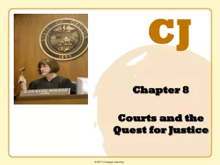 Chapter 8 Courts and the Quest for Justice