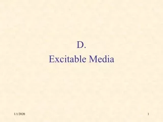 D. Excitable Media