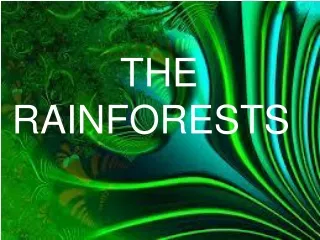 THE RAINFORESTS