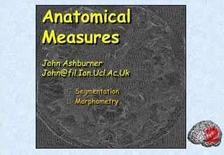 Anatomical Measures John Ashburner John@fil.Ion.Ucl.Ac.Uk