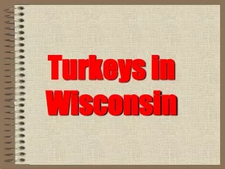 T urkeys in Wisconsin