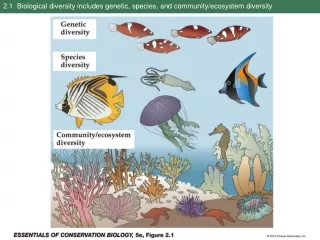 2.1  Biological diversity includes genetic, species, and community/ecosystem diversity