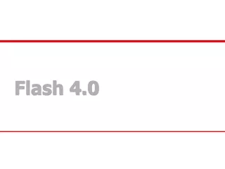 Flash 4.0